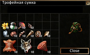 TrophyBug.png