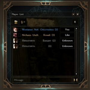 Player list2.png